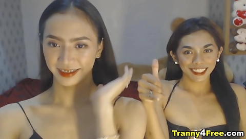 Busty asian shemale is getting fucked by a big dick