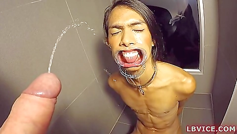 Busty ladyboy enjoys sex with her boyfriend after a blowjob